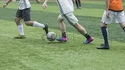 华体会体育娱乐